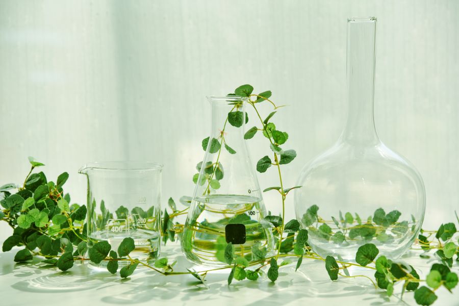 various lab beakers and green leaves